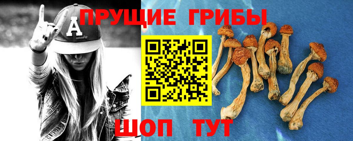 Галлюциногенные грибы MAGIC MUSHROOMS Чебоксары