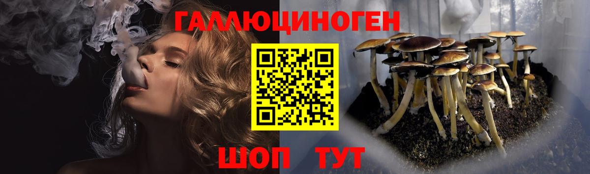 закладки  Вход с VPN  Чебоксары  Псилоцибиновые грибы GOLDEN TEACHER  Галлюциногенные грибы MAGIC MUSHROOMS 